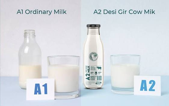 A2 Milk vs A1 Milk