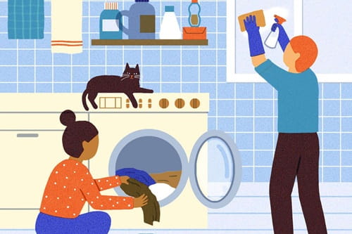 Daily Cleaning Routine